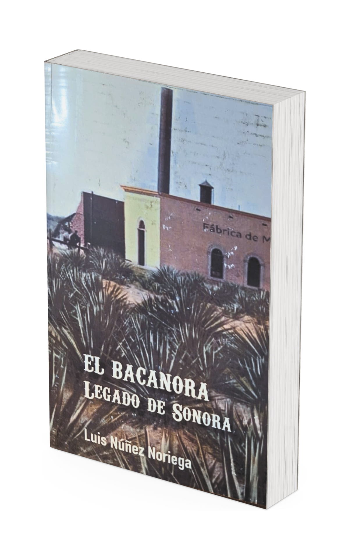El Bacanora, Legado de Sonora