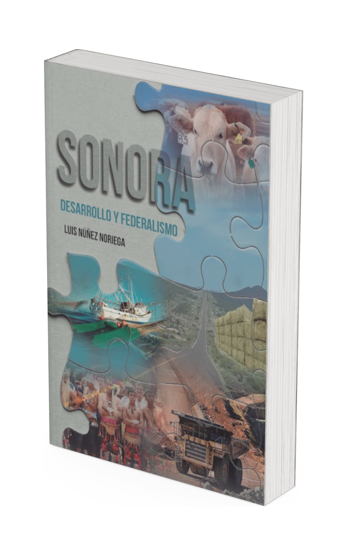 Sonora, Desarrollo y Federalismo